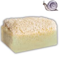 KABAK LİFLİ SALYANGOZ SABUNU 120 GR – El Yapımı Doğal Sabun - Jimena Natural